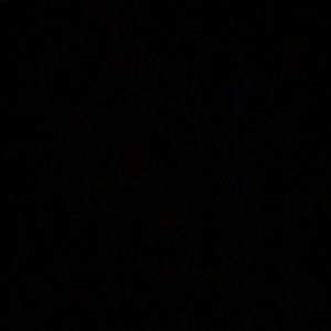 Meet your Posher, Kaden